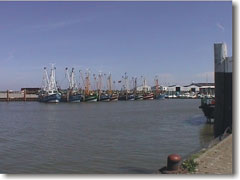 Fischerboote im Hafen von Norden